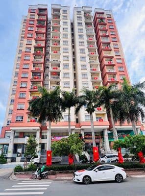 cần cho thuê căn hộ chung cư Trương Đình Hội
