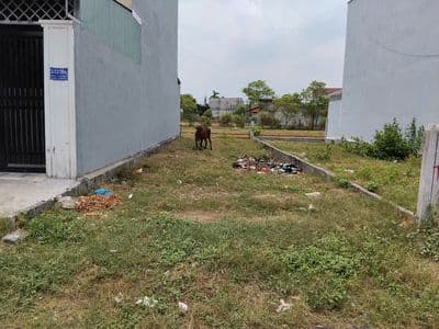 quá cần tiền chính chủ bán gấp lô đất mặt tiền tại CỦ CHI . GIÁ 500TR