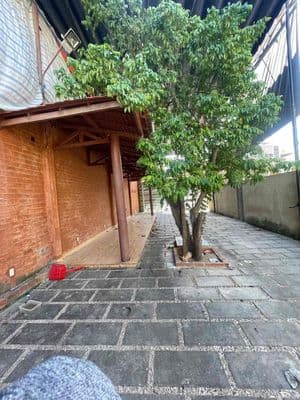 Cho Thuê Nhà Mặt Tiền Bũu Đoá Phước Long Nha Trang Đường Rộng 18m