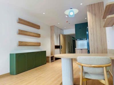 217 cho thuê căn hộ 2 phòng ngủ tầng trung view cầu rồng