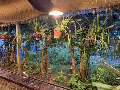Cho thuê quán caphe view sông nhà vườn gỗ