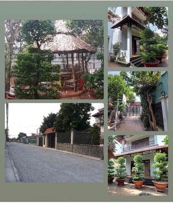 Nhà biệt thự