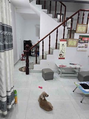 bán nhà phố