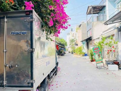 Dãy trọ 4x19.5 hẻm thông 8m Phan Huy Ích p15