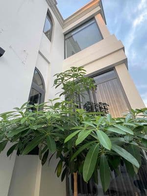 Cho thuê biệt thự sân vườn KDC Cotec Phú Xuân giá 18tr/tháng