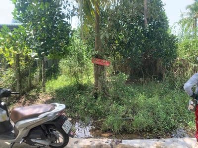 Bán đất nền 106m2 , xã Tân Thuận Đông, Đồng tháp.
