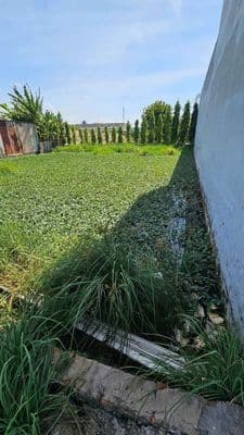 Bán Đất Gâp