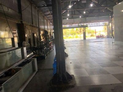 Bản đất mặt tiền