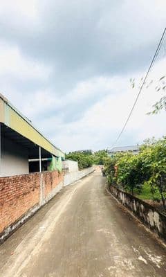 CẦN BÁN LÔ ĐẤT LẠC THỦY HÒA BÌNH dt56m sẵn sổ giá 310 triệu