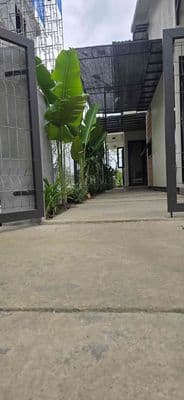 Cần cho thuê căn hộ sân vườn