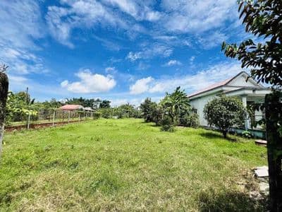 Bán đất ở thổ cư toàn bộ, nở hậu sát QL22 Củ Chi