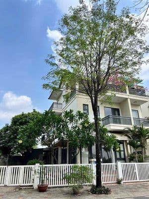 Biệt thự NC Senturia Vườn Lài An Phú Đông Q12
