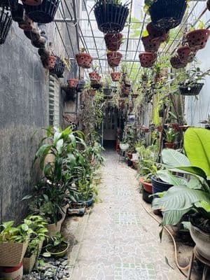 8,5 đồ.ng - bình thạnh, p.11, siêu diện tích 103m2, hxh, nhà cũ