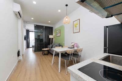 Cho Thuê CCMN 1 Ngủ 1 Khách Tại Ga Chùa Hà - Cầu Giấy