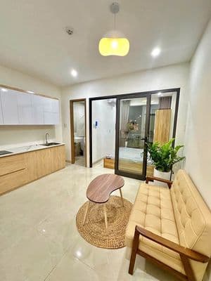 Cho thuê căn hộ 1PN Hồ Biểu Chánh, Hoà Cường