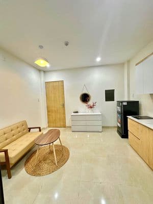 Cho thuê căn hộ 1PN gần ĐH Đông Á - Hồ Biểu Chánh