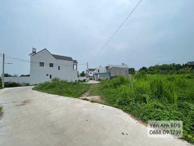 Bán đất Hiệp An, Bình Dương - 834m2 có 100m2 thổ cư