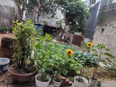 Bán đất Yên Kiện, Ngọc Hồi, 64.3m2, mặt tiền 4m