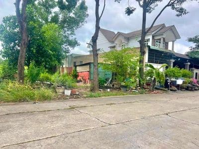 Bán đất 150m2 đường N2 sát Đại học Quốc tế Việt Đức - Mỹ Phước 4