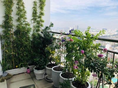 Bán căn hộ chung cư Tản Đà Court, Q5, 100m2, 3PN, 5,8 tỷ