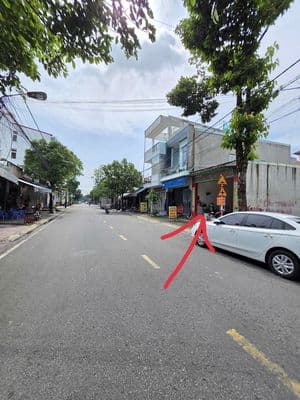 Cho thuê nhà phố Khu Viet Sing, D20, An Phú - Bình Dương (cũ)