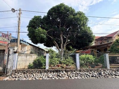 cần tiền bán gấp đất ở Xuyên Mộc, Thành Phố Hồ Chí Minh