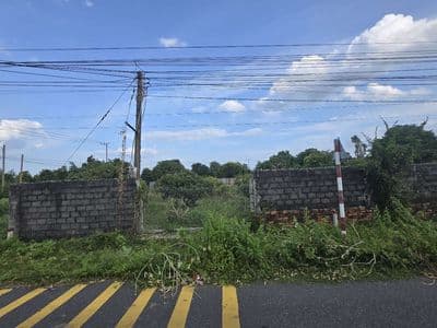 Lô đẹp 330m² vườn nhãn cách biển phước hải2km