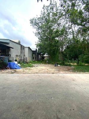 Bán gấp đất gần chợ Phú Chánh A, ngang 10.3m sẵn 2 sổ, giá 4.6 tỷ
