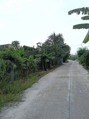 Bán đất thị xã Hoà Thành