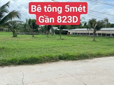 bê tông 5mét Chùa PHÁP TUYỀN ĐỨC HOÀ