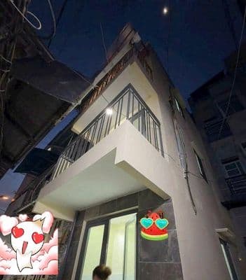Bán nhà mới nhỏ xinh hẻm 245 đường Ba Đình P8 Q8