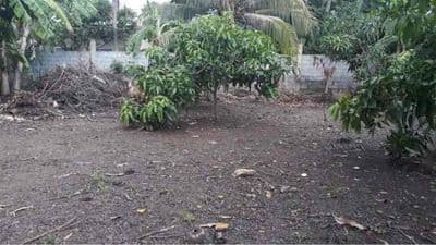 530m2 có thổ cư 150m2, cách cổng dự án lấn biển Vin khuA chỉ 5' đi bộ