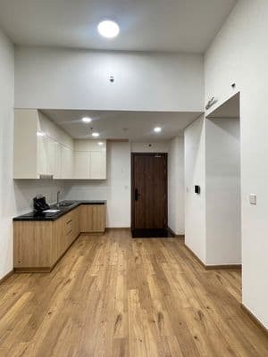 Chính chủ bán căn hộ Mizuki Park 60m2, 2PN 1WC, MPX giá 3.85 tỷ