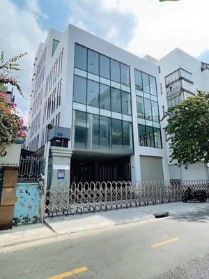 16.5 x 25m - cho thuê tòa nhà mặt tiền mai thị lựu - quận 1