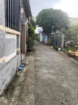 bán đất 1 sẹt chòm sao