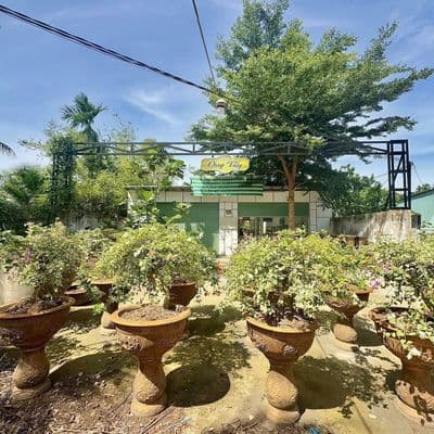 Bán Đất Và Nhà Xã Phú Hưng Tp Bến Tre ( Phú Khương VL )