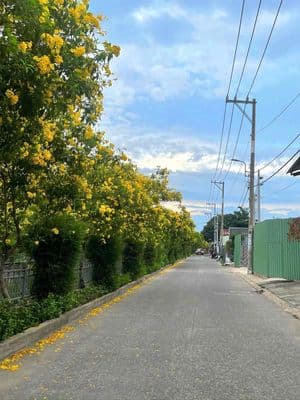 Cho thuê nhà đẹp đường rộng giá rẻ