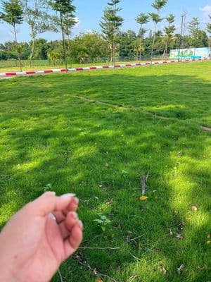Bán đất mặt tiền 100m2, mặt tiền 5m, đường 8m, La Gián, Hòa Lạc