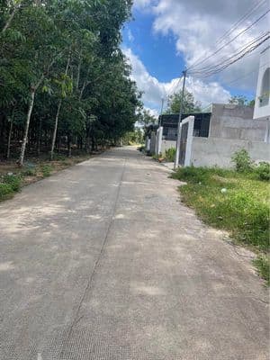 Bán đất Chánh Phú Hoà - Bến Cát - Bình Dương