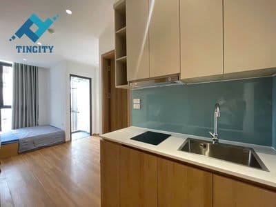 Cho thuê căn hộ full gỗ ban công thoáng TINCITY