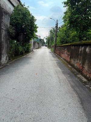 Bán đất Cổ Dương, Đông Anh, 60m2, hơn 4 tỷ