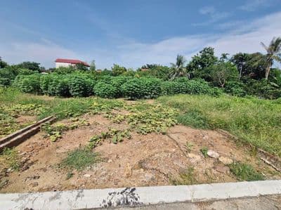 Bán đất thổ cư Đa Phúc, Hà Nội, giá đầu tư