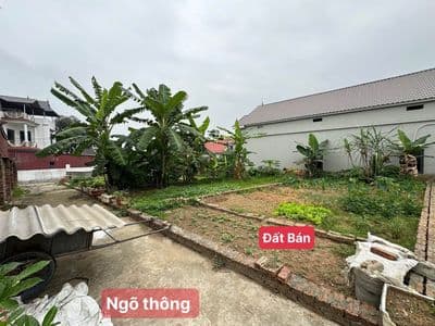 Bán đất Thanh Lại (Cộng Hoà)-Phù Linh, Sóc Sơn