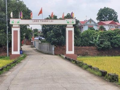 Bán đất 61m2 Thanh Lại, Sóc Sơn, gần dự án đô thị