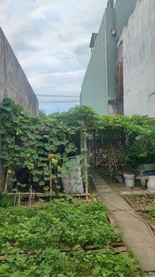 Tôi Chính Chủ Bán đất Nguyễn Chu Sĩ Liên Chiểu
