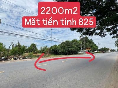 2200m2 măt tiền tỉnh lô 825 xây kho xưởng