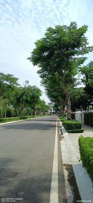 Cho Thuê 591m2 Đất Góc, Đường 291 KDC Verosa Park