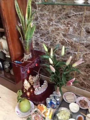 Cho thuê nhà nguyên căn -ful nội thất