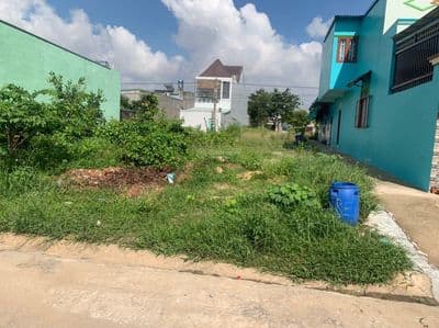 Bán gấp đất SHR (238m2 Giá 1 Tỷ 1) đường Trần Thị Cẩm xã Tân Phú Trung