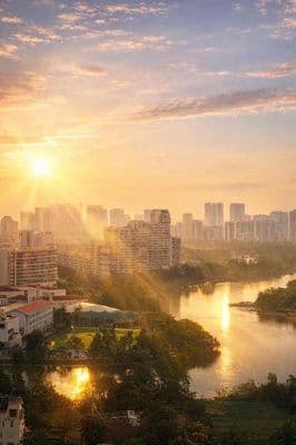 chuyển nhượng Sunrise riverside 71m2 5.2 tỷ